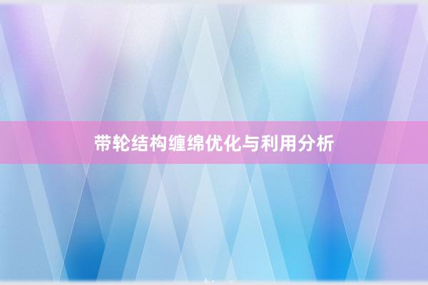 带轮结构缠绵优化与利用分析