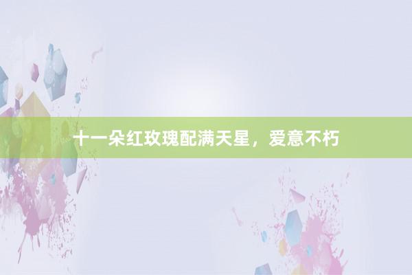 十一朵红玫瑰配满天星，爱意不朽