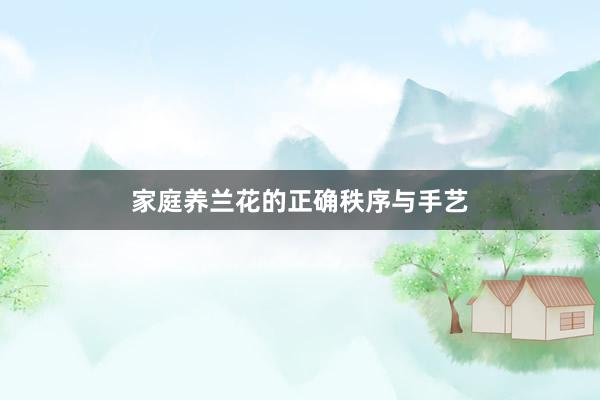 家庭养兰花的正确秩序与手艺
