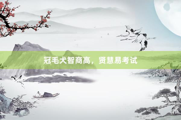 冠毛犬智商高，贤慧易考试